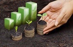 Executives Say Big Increase in ESG and Sustainability Investment Coming