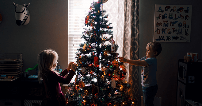 Three Ways to Responsibly Dispose of (or Reuse) Your Holiday Tree Banner Image
