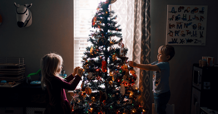 Three Ways to Responsibly Dispose of (or Reuse) Your Holiday Tree Banner Image