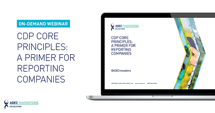 CDP Core Principles: A Primer for Reporting Companies graphic